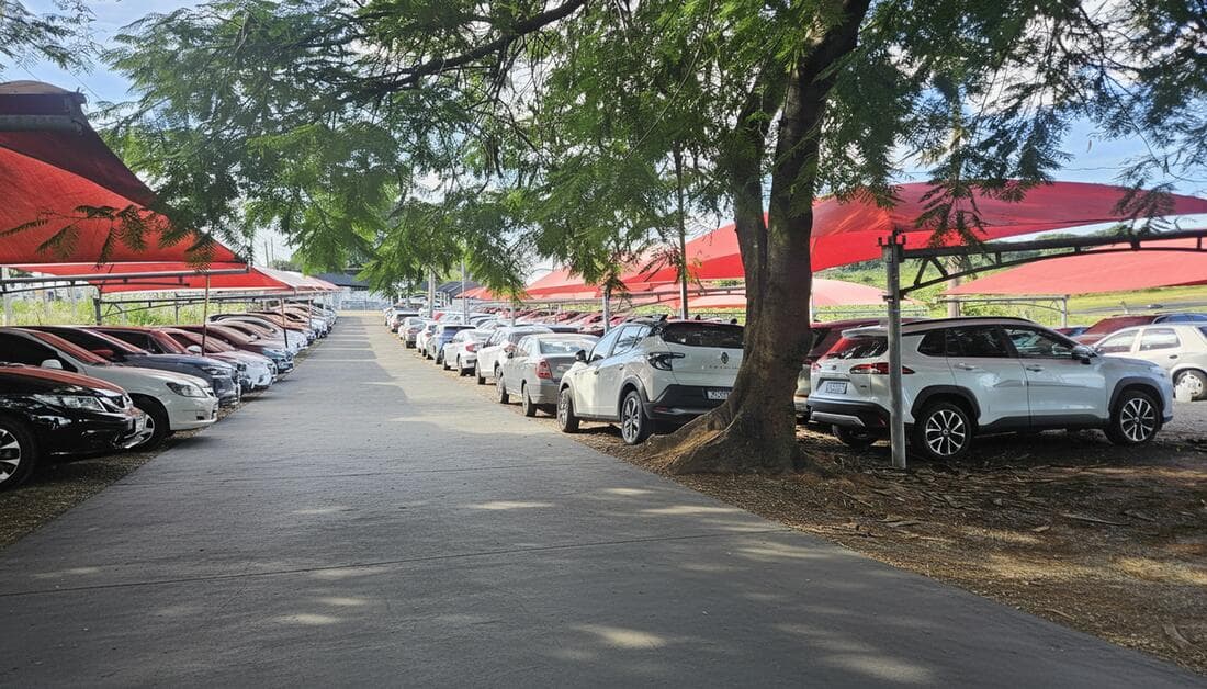 Vagas cobertas do Bandeira Park Viracopos com árvores ao redor do pátio